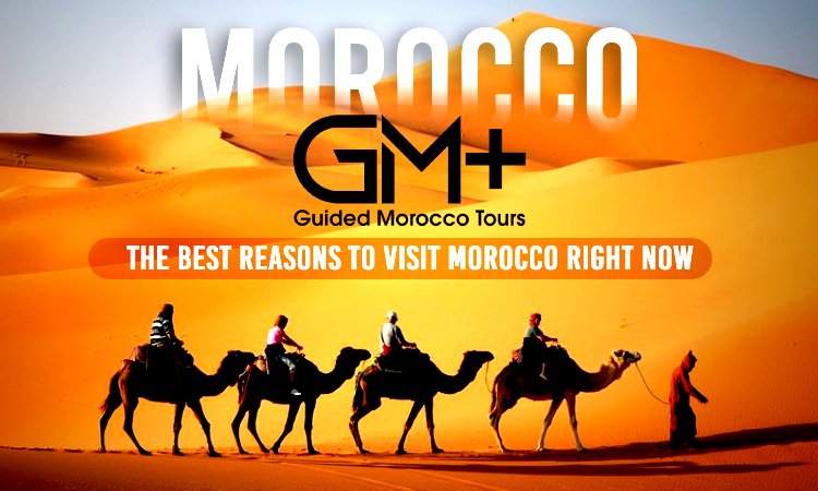 guided tours Morocco